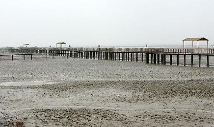 《真女神转生5：复仇》官方PV2分享 展示新内容